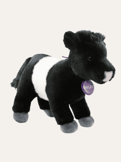 Barley The Beltie Soft Toy