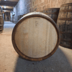 Mongolian Virgin Oak