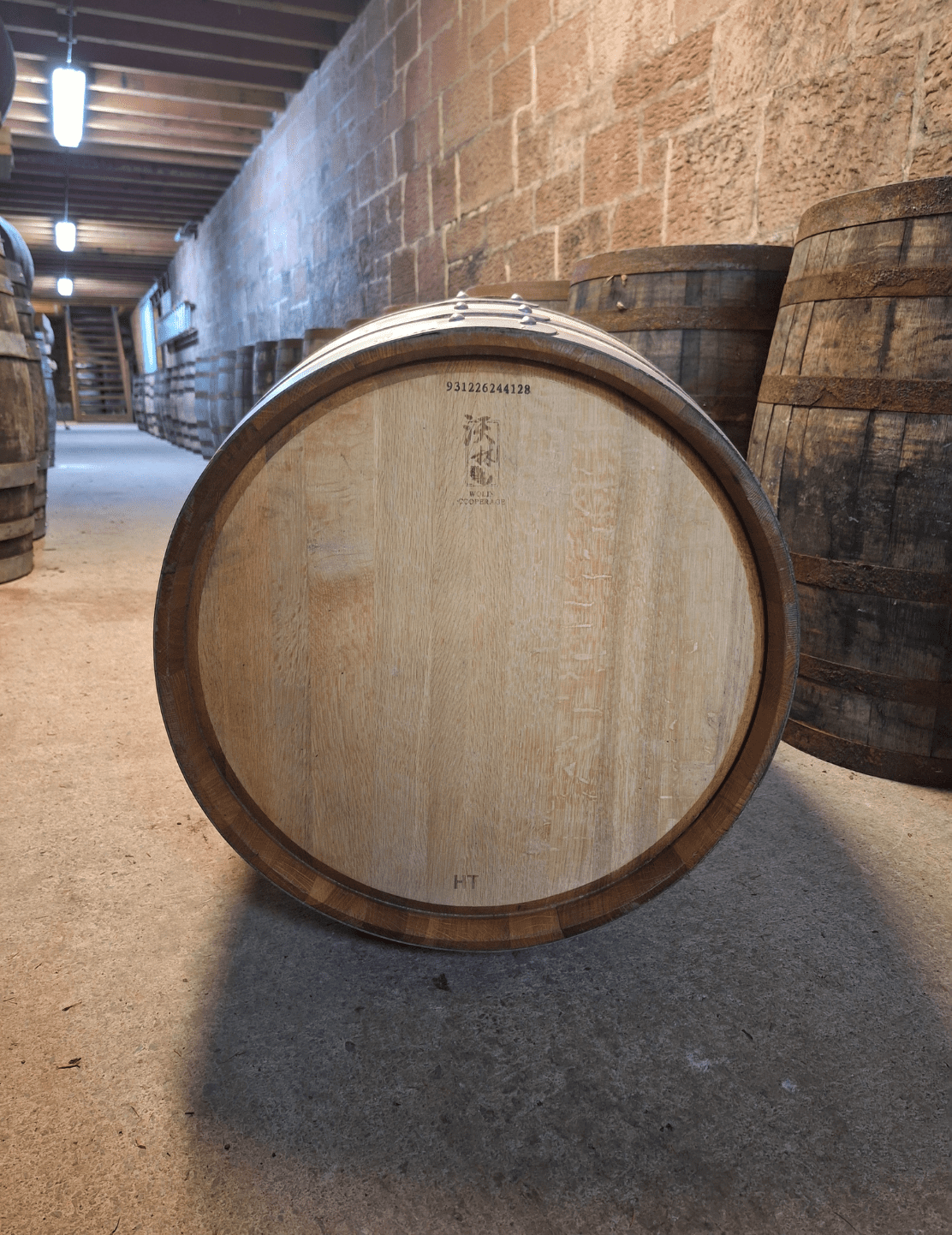 Mongolian Virgin Oak