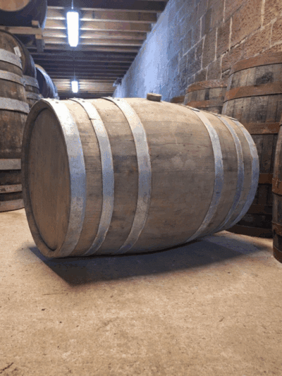 Colombian Virgin Oak